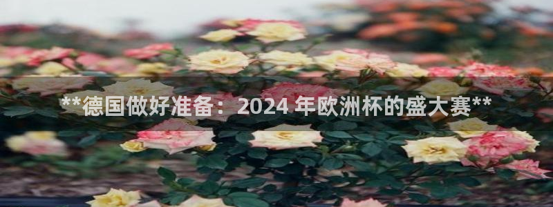 2024正规欧洲杯平台