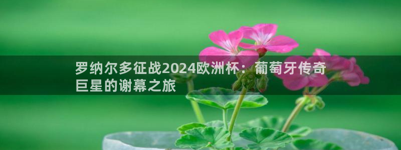 2024欧洲杯竞猜网址|罗纳尔多征战2024欧洲杯：葡萄牙传奇
巨星的谢幕之旅