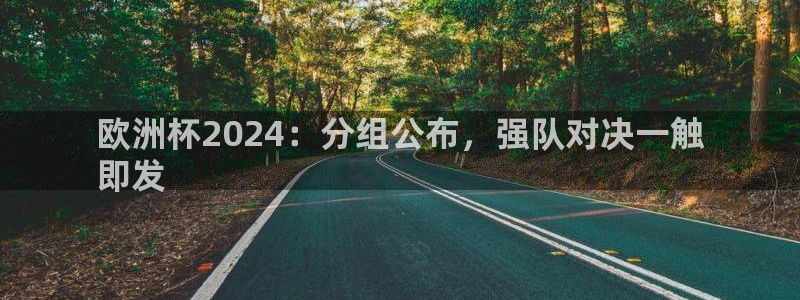 欧洲杯哪里买球靠谱|欧洲杯2024：分组公布，强队对决一触
即发