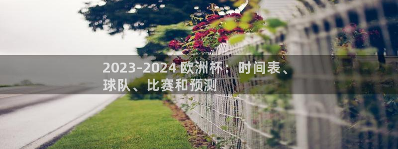 欧洲杯决赛彩票网上购买|2023-2024 欧洲杯：时间表、
球队、比赛和预测