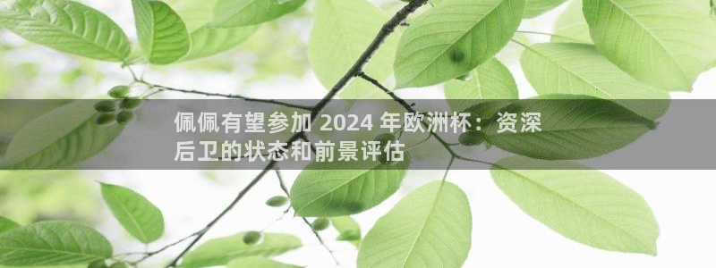 欧洲杯官网|佩佩有望参加 2024 年欧洲杯：资深
后卫的状态和前景评估