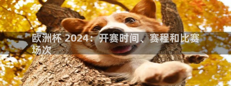 2024欧洲杯竞猜网址|欧洲杯 2024：开赛时间、赛程和比赛
场次