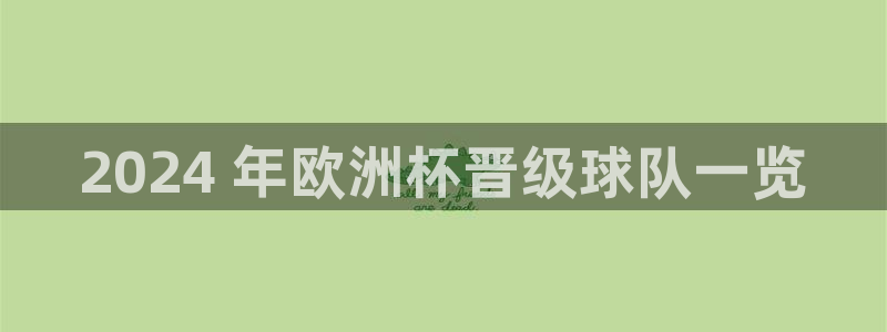 欧洲杯押注怎么买|2024 年欧洲杯晋级球队一览